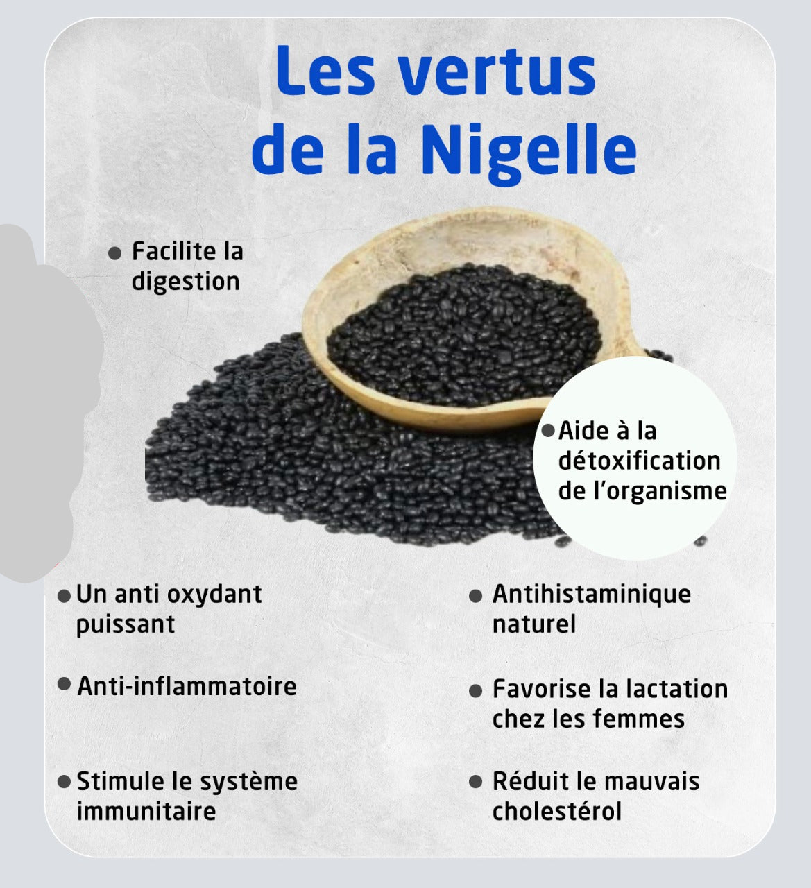 Graine de Nigelle et Miel