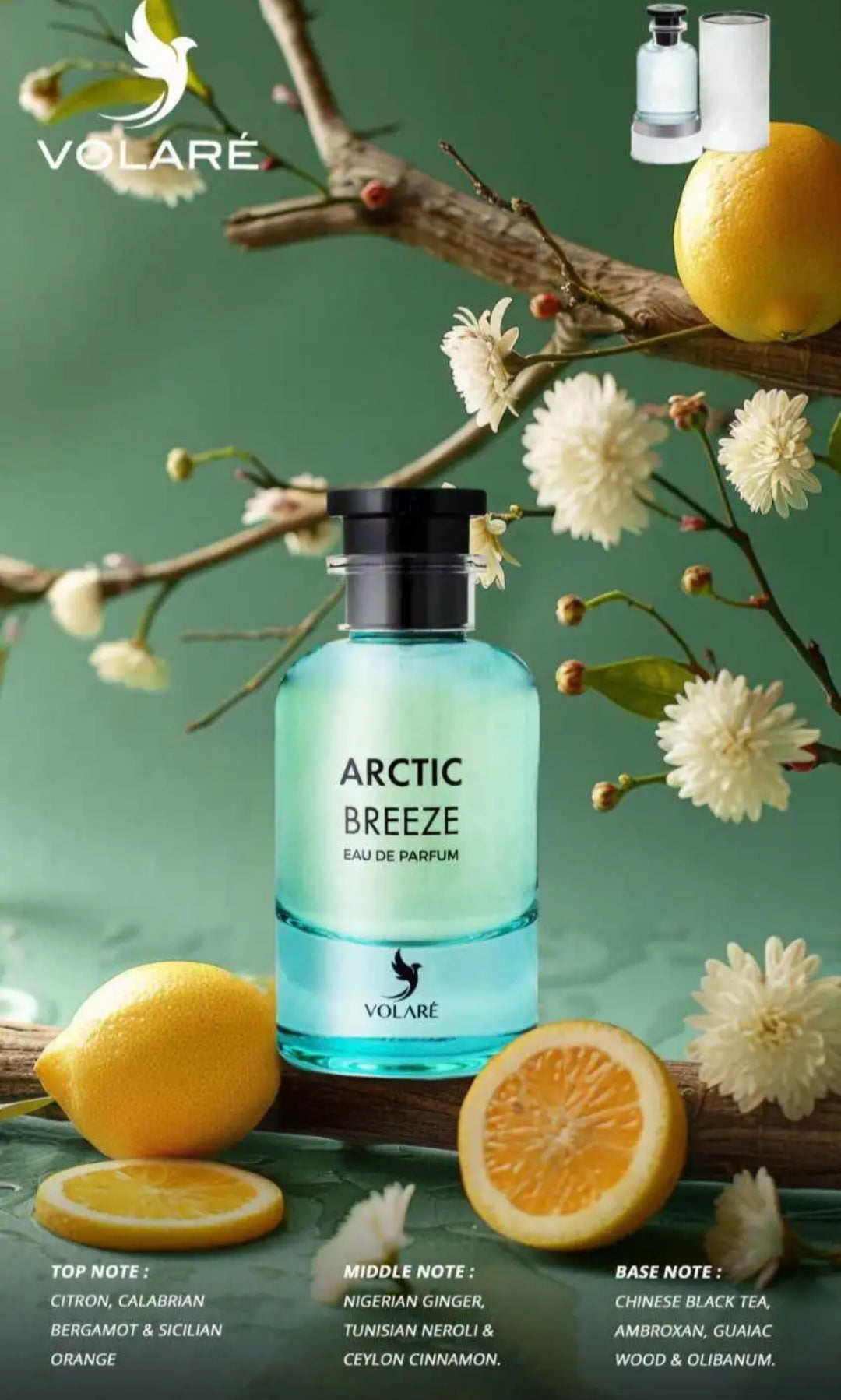 Arctic Breeze 100ml - Parfum Volare