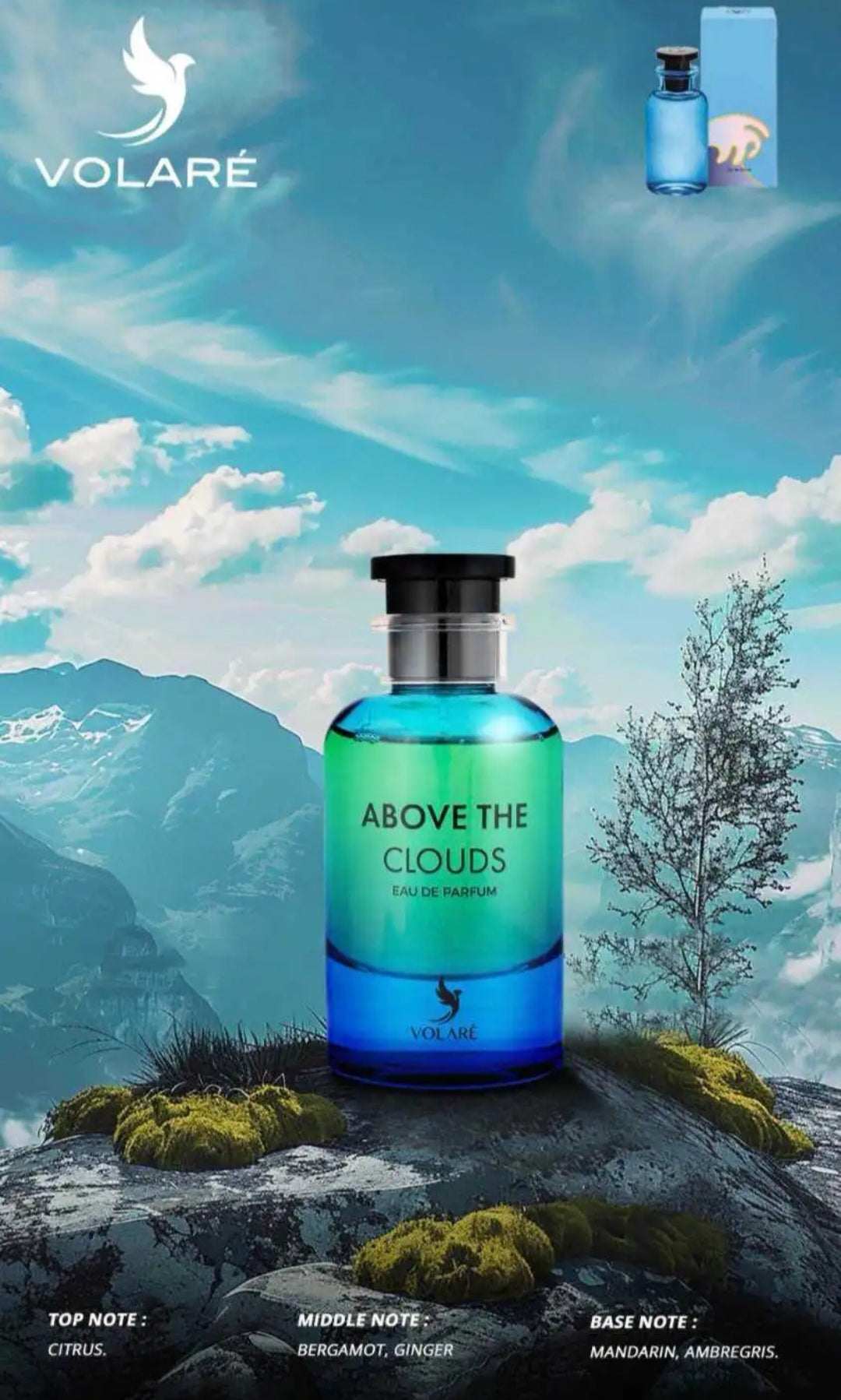 Above the Clouds 100ml Volare Parfum inspiration Afternoon