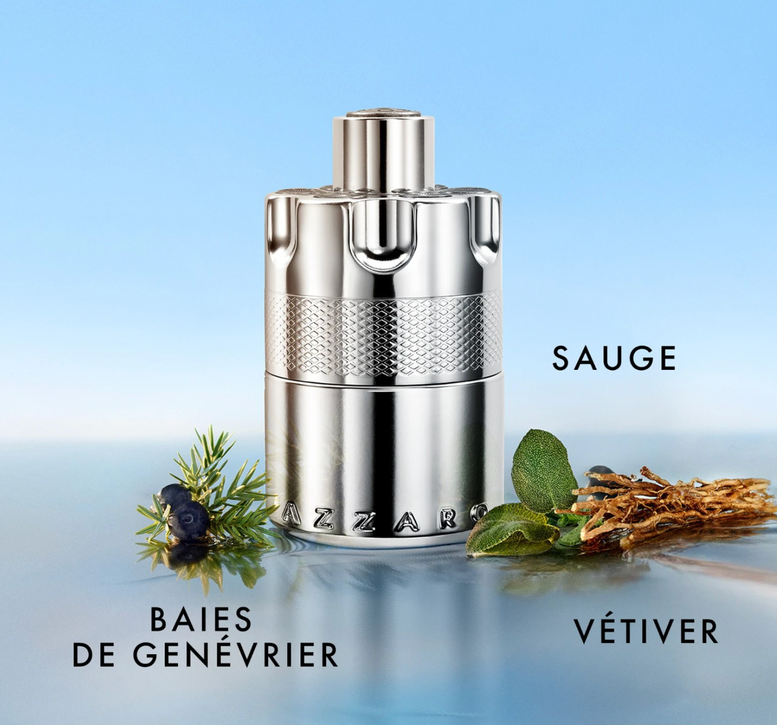 Azzaro Wanted Eau de Parfum
