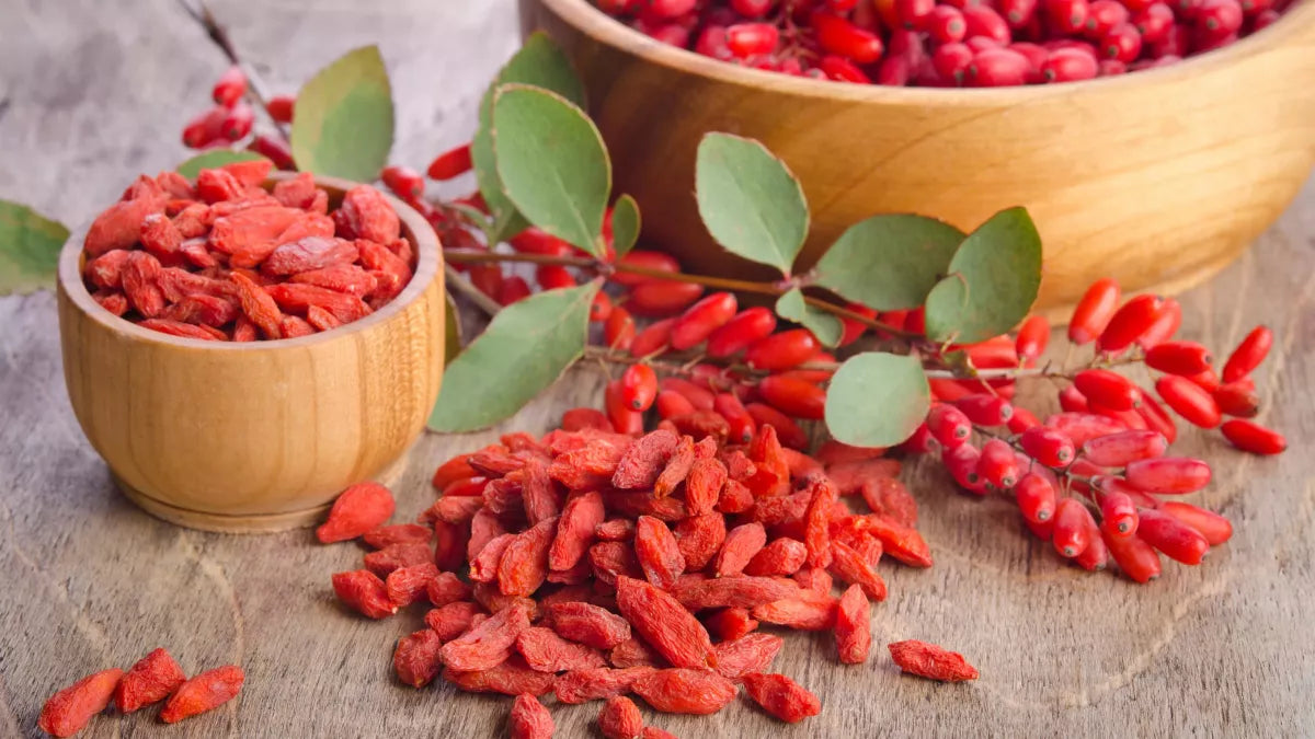 شاي الزنجبيل والعسل و Goji العشبي 