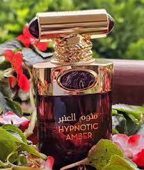 Hypnotic Amber  My Perfumes