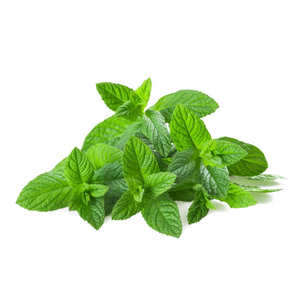 Té jengibre miel bissap mint 250 gr