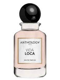 Vida Loca 100ml - Parfum ANTHOLOGY Paris